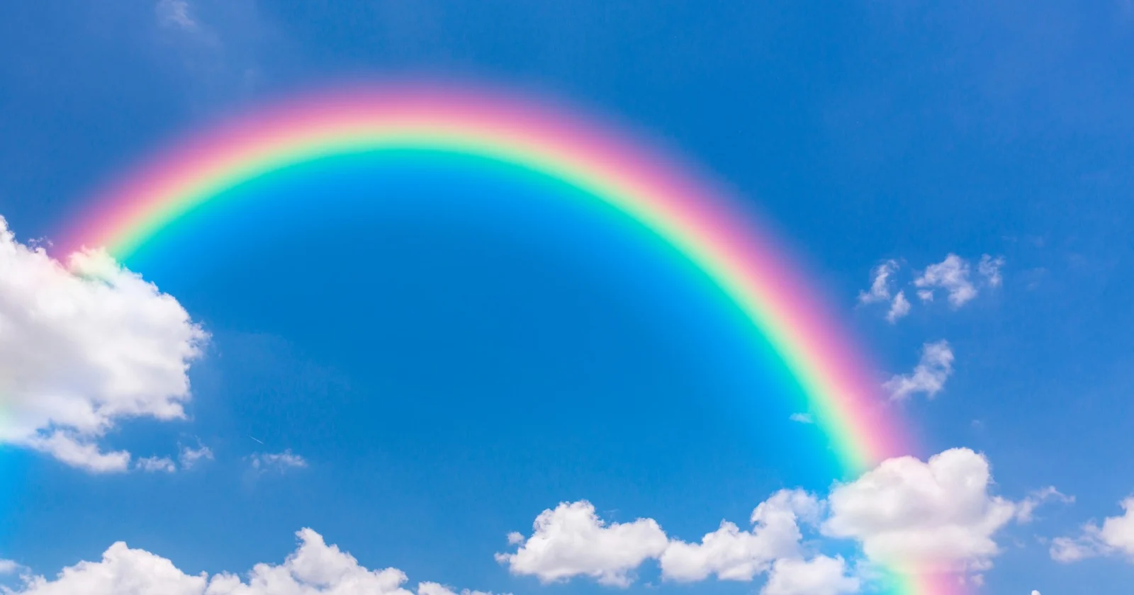 A Minnesota school board banned rainbows without warning. Two months later they are still on classroom walls